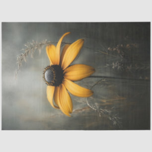 Papel De Seda Susan Botanical de olhos negros minimalista