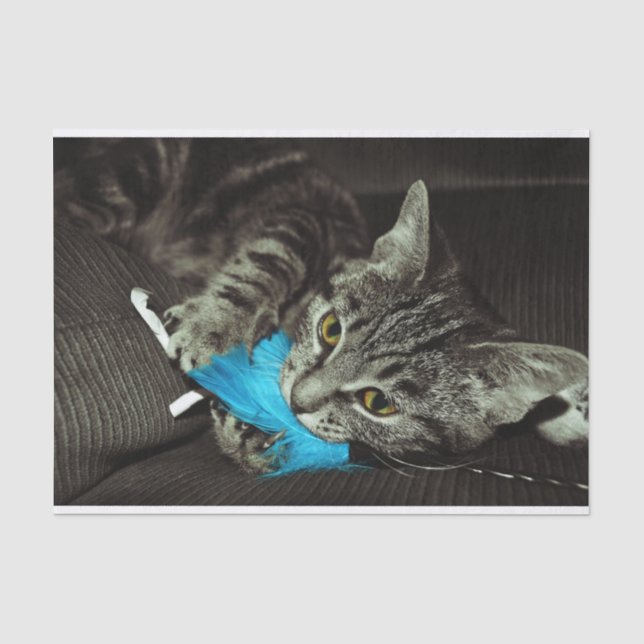 Papel De Seda Tabby Cat com pena de Shirley Taylor (Frente )