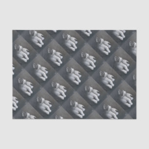 Papel De Seda Tabby Kitten