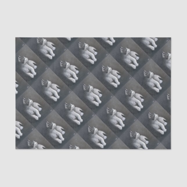 Papel De Seda Tabby Kitten (Frente )