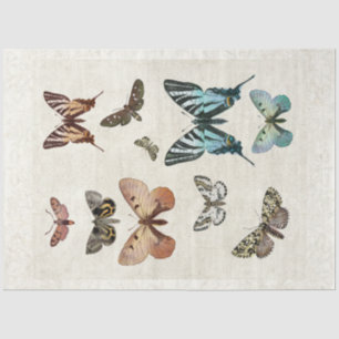 Papel De Seda Tabterfly Vintage Blue Peach Decoupage