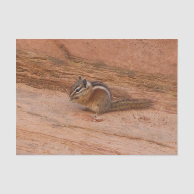 Papel De Seda Tâmia de Zion em Red Rocks (Frente )