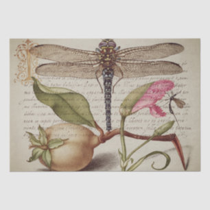 Papel De Seda Tecido Calliográfico (Dragonfly, Cravo & Pear)