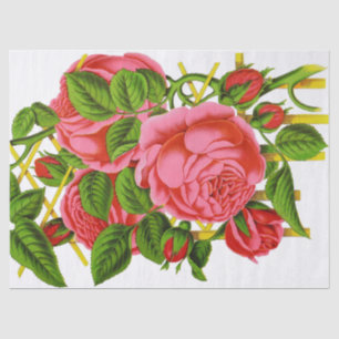 Papel De Seda Tecido coral do impressão do vintage dos rosas