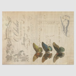 Papel De Seda Tecido de Decoupage das coisas efêmeras