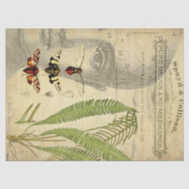 Papel De Seda Tecido de Decoupage do Apothecary