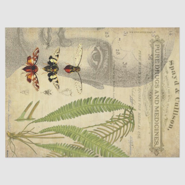 Papel De Seda Tecido de Decoupage do Apothecary (Frente )