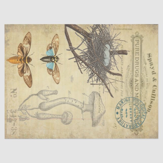 Papel De Seda Tecido de Decoupage do Apothecary (Frente )