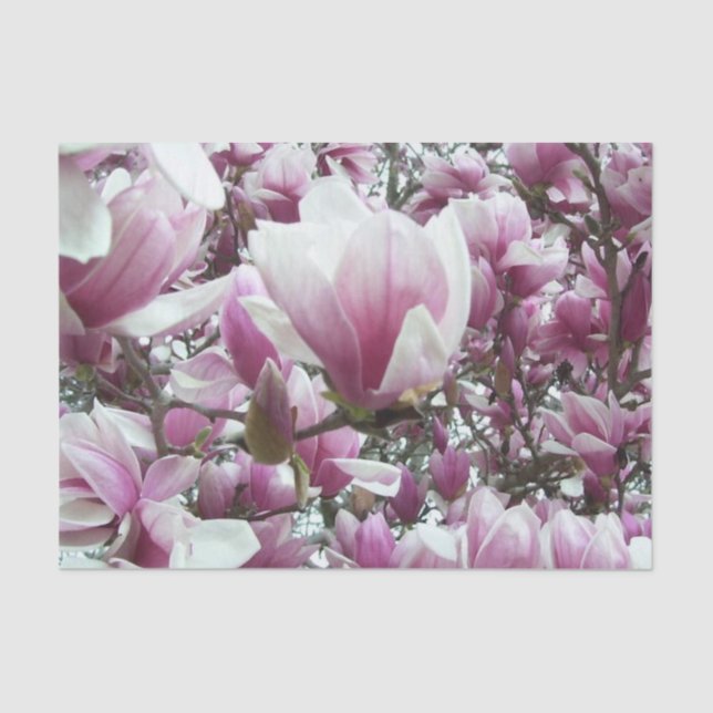 Papel De Seda Tecido embebido - Saucer Magnolia (Frente )