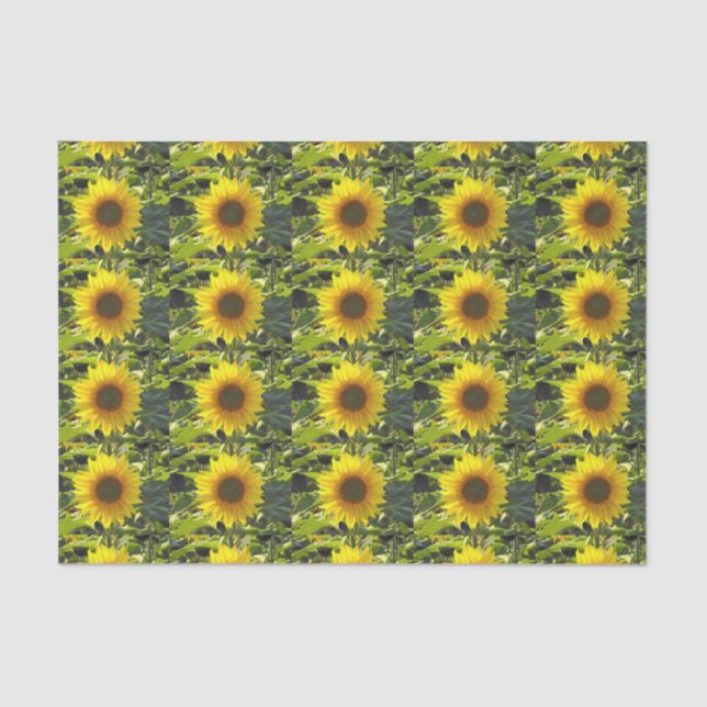 Papel De Seda Tecido Sunny Dourado (Frente )