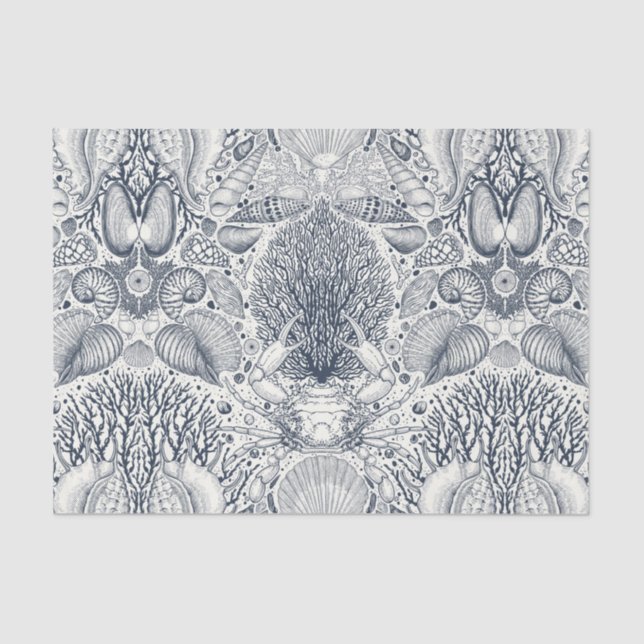 Papel De Seda Tesouros de praia, conchas marinhas, caranguejo, c (Frente )