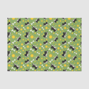 Papel De Seda teste padrão 4