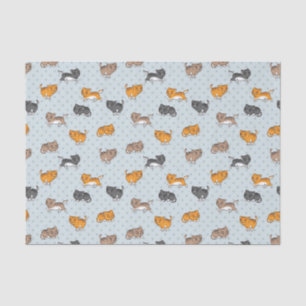 Papel De Seda teste padrão com gatos engraçados