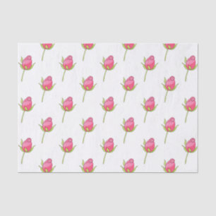 Papel De Seda Teste padrão cor-de-rosa do Rosebud da aguarela