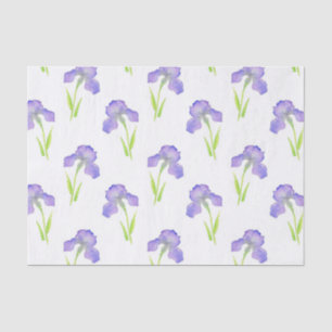 Papel De Seda Teste padrão da íris