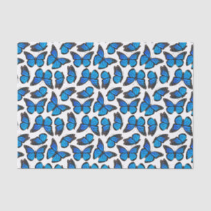 Papel De Seda Teste padrão de borboleta azul do monarca