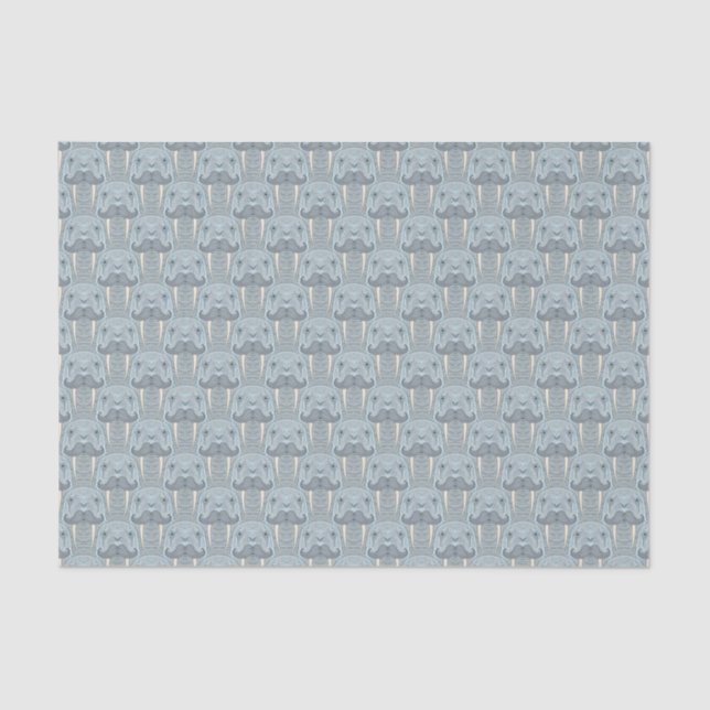 Papel De Seda Teste padrão do bigode da morsa (Frente )