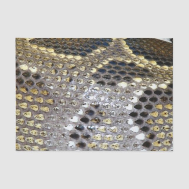 Papel De Seda Teste padrão dourado da pele de cobra (Frente )