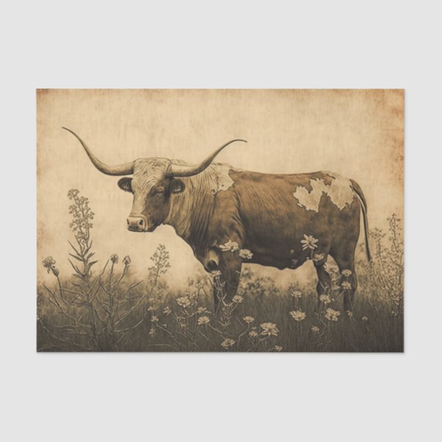 Papel De Seda Texas Longhorn (Frente )