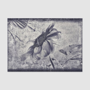 Papel De Seda Textura Antiquada Branca De Girassol, Preta E Bran