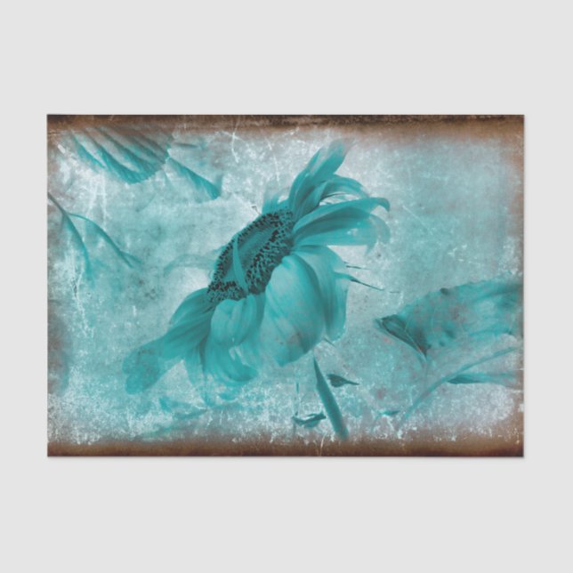 Papel De Seda Textura Antiquada de Azul-Teal de Girassol (Frente )