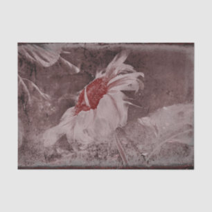 Papel De Seda Textura Antiquada de Grunge de Girassol Castanho