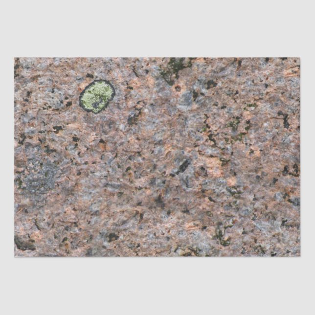 Papel De Seda Textura da geologia da foto da rocha com musgo (Frente )