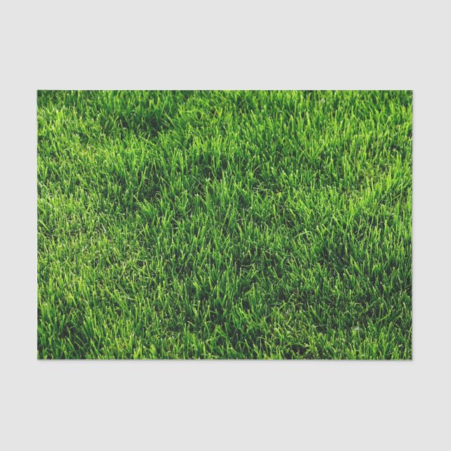 Papel De Seda Textura da grama verde de um campo de futebol (Frente )