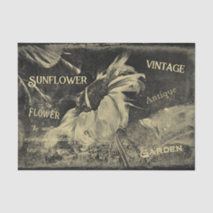 Papel De Seda Textura de Efêmera Antiga Vintage de Girassol Sepi