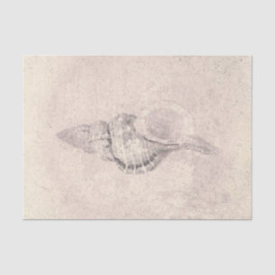 Papel De Seda Textura de praia oceânica vintage sépia de conchas