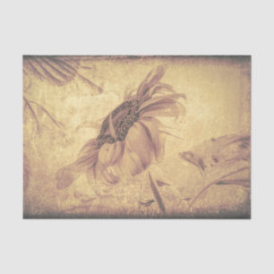 Papel De Seda Textura Grunge Antiga de Girassol Sépia Vintage