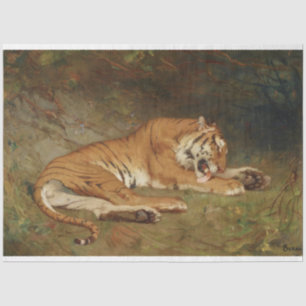 Papel De Seda Tigres De Tigre Na Desnute De Arte De Trabalho de
