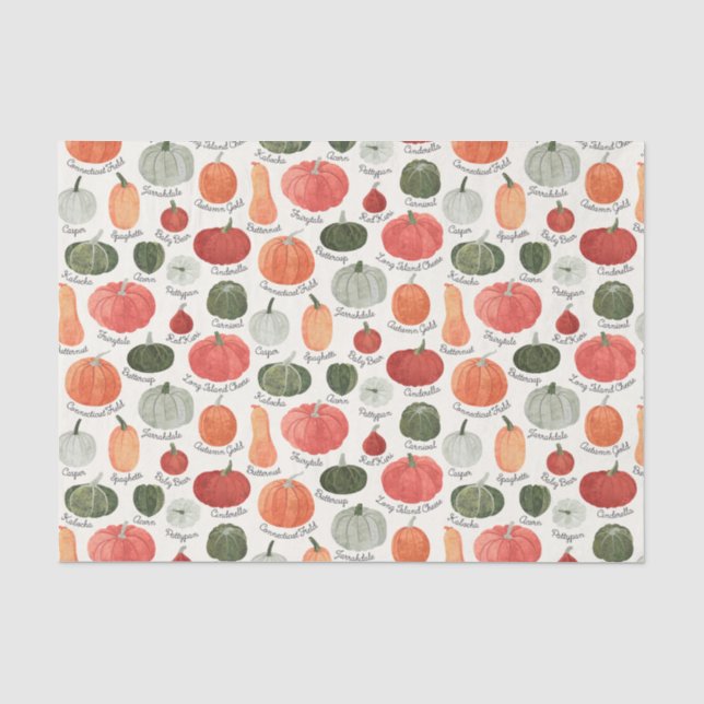 Papel De Seda Tipos de Abóbora Ilustrados (Frente )
