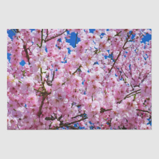 Papel De Seda Tissue Paper Cherry Blossoms