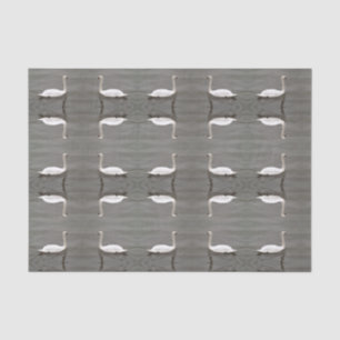 PAPEL DE SEDA TISSUE PAPER - TURAN GLIDES