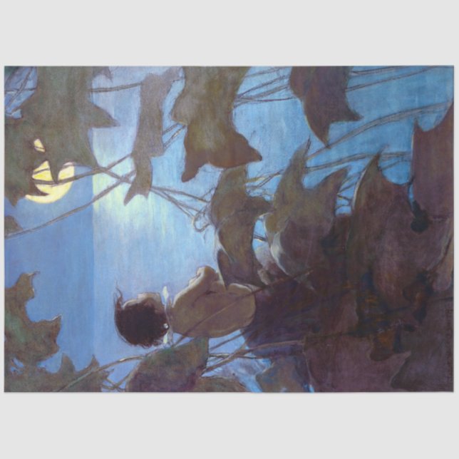 Papel De Seda Tom Assistindo a Lua, Jessie Willcox Smith (Frente )