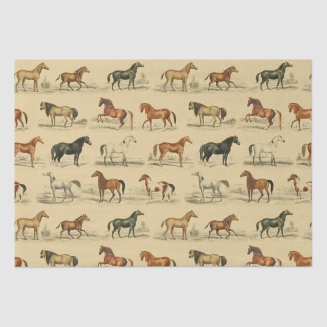 Papel De Seda Torre Elegante Rustic Beige Horse Breed Toile (Frente )