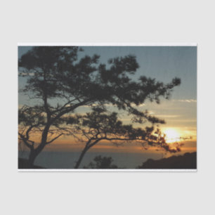 Papel De Seda Torrey Pine Sunset I California Landscape