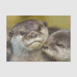 Papel De Seda Totalmente Apaixonado