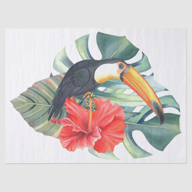 Papel De Seda Toucan Tropical Bird (Frente )