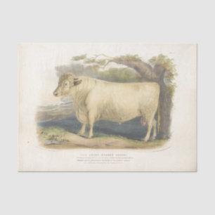 Papel De Seda Touro Branco Vaca Ephemera Decoupage Fazenda T