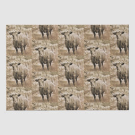 Papel De Seda Touro Russo na Desvinculação de Padrão de Fazenda