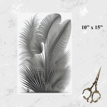 Traço preto branco botânico pequeno