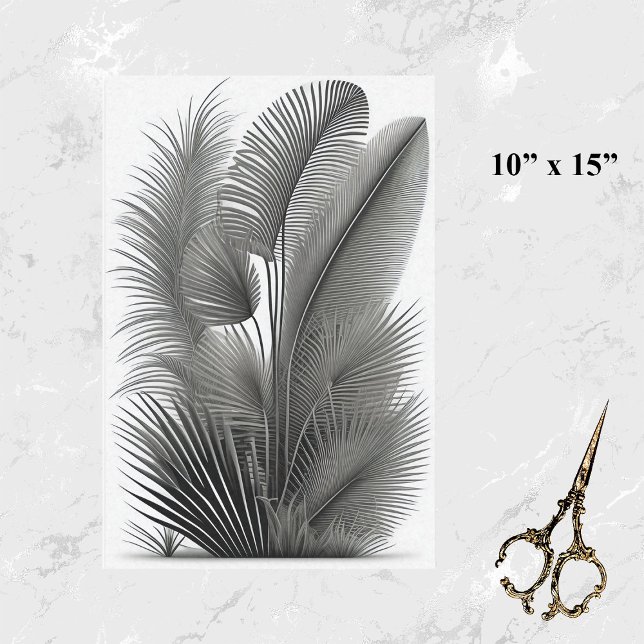 Papel De Seda Traço preto branco botânico pequeno (Criador carregado)