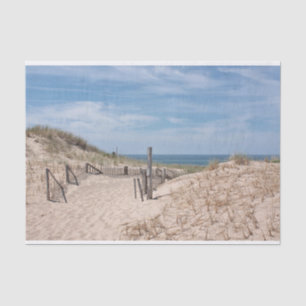 Papel De Seda Trajeto na areia à praia