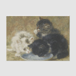 Papel De Seda Três Kittens por Henriette Ronner-Knip