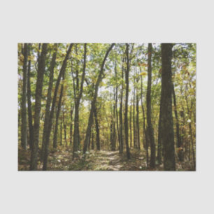 Papel De Seda Trilha Appalachian em outubro em Shenandoah