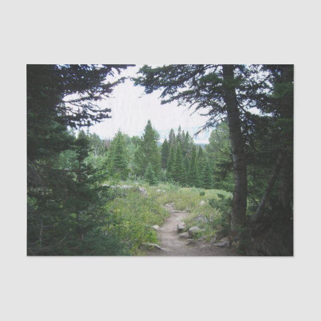 Papel De Seda Trilha Grand Teton (Frente )