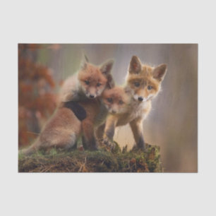 Papel De Seda Tripletes Foxy