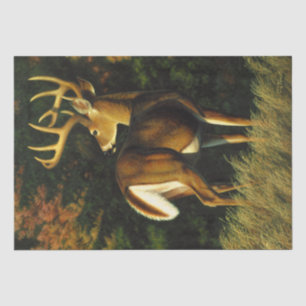 Papel De Seda Troféu Whitetail Deer Buck Hunting